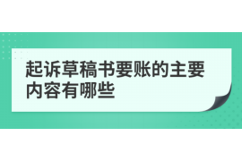 项城对付老赖：刘小姐被老赖拖欠货款